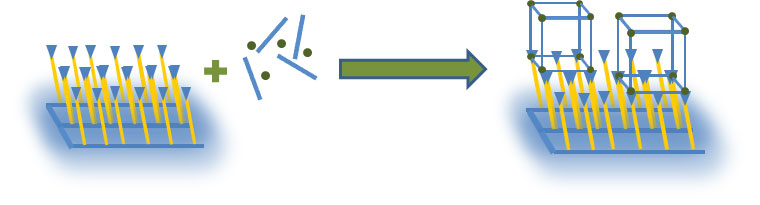 direct MOF growth scheme