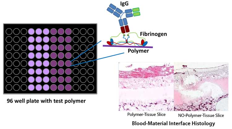 fibrinogen assay scheme