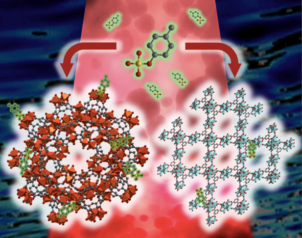 bacteria plates with cell growth