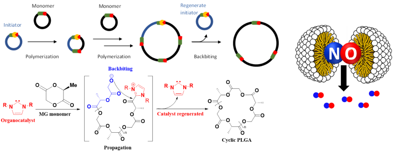 bacteria plates with cell growth
